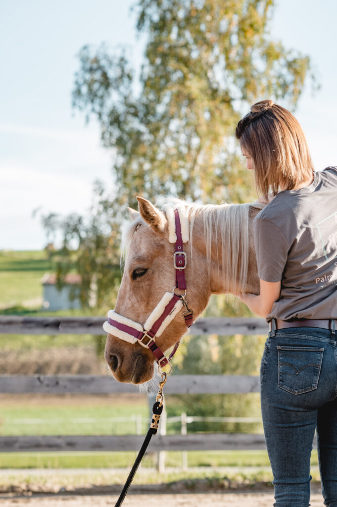 Helles Pferd wird von einer Tierphysiotherapeutin behandelt