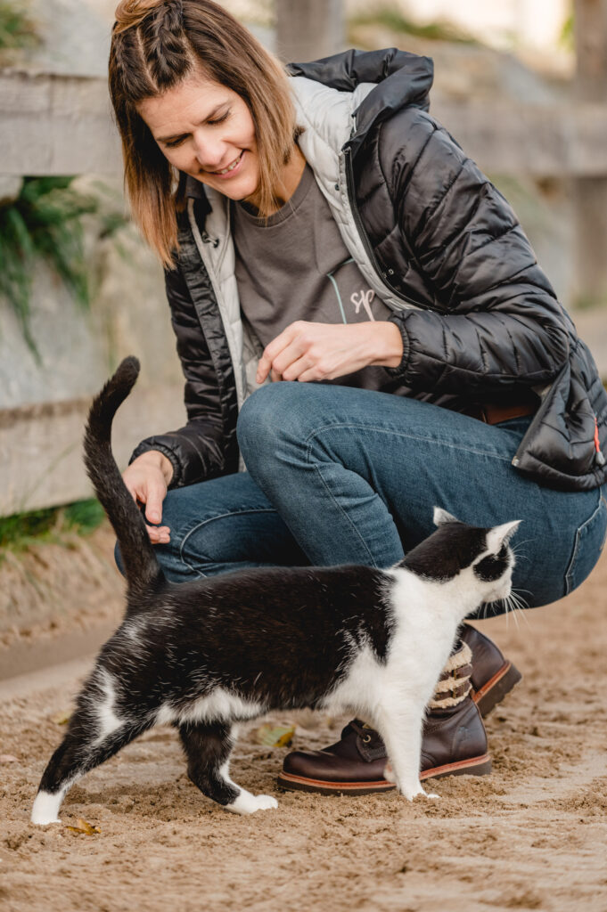 Tierphysiotherapie Katze