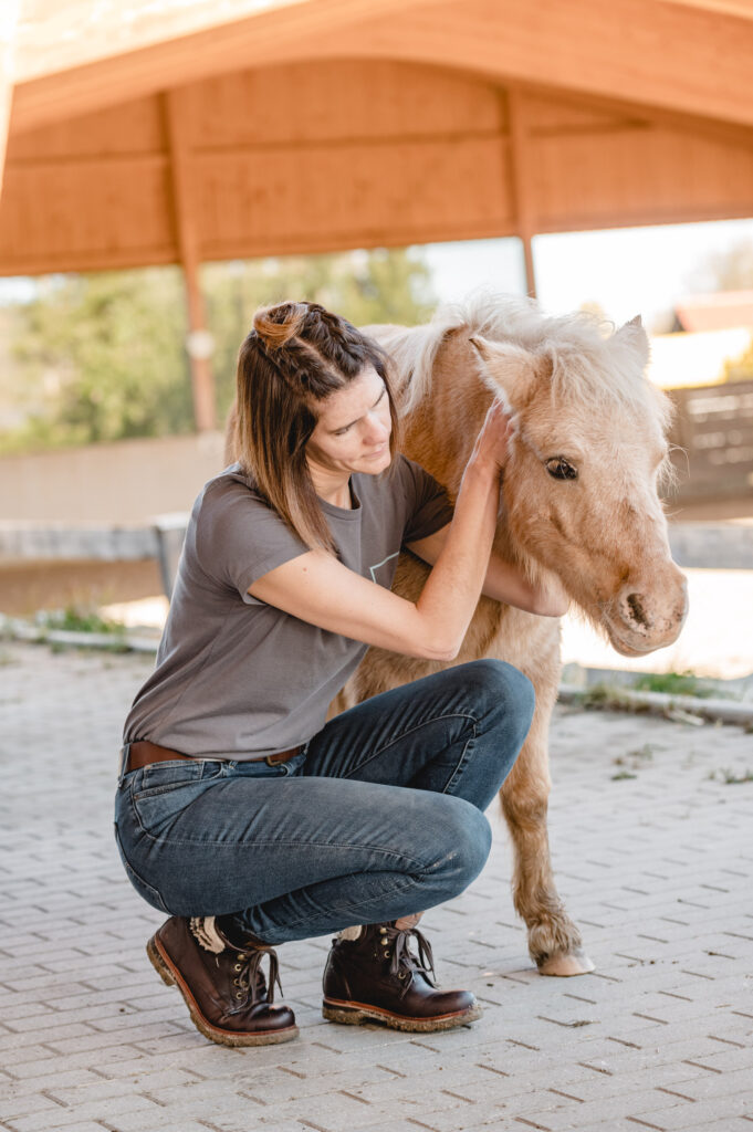 Pony wird behandelt