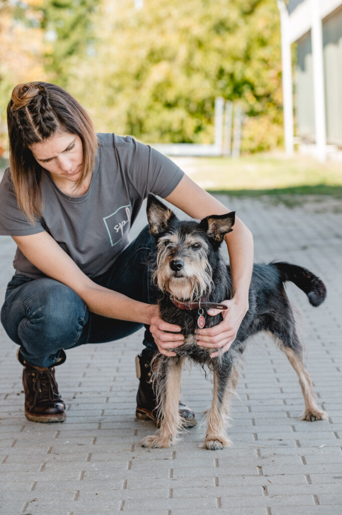 Bewegungstherapie Hund