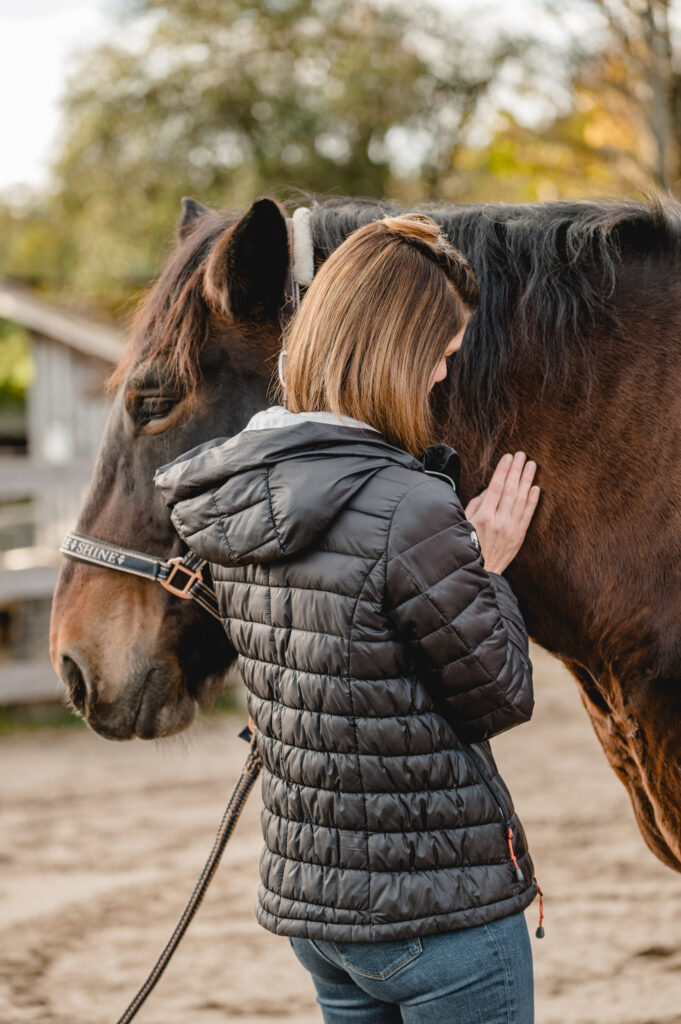 Manuelle Therapie Pferd